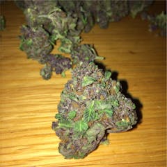 User uploaded image of Purple Elephant