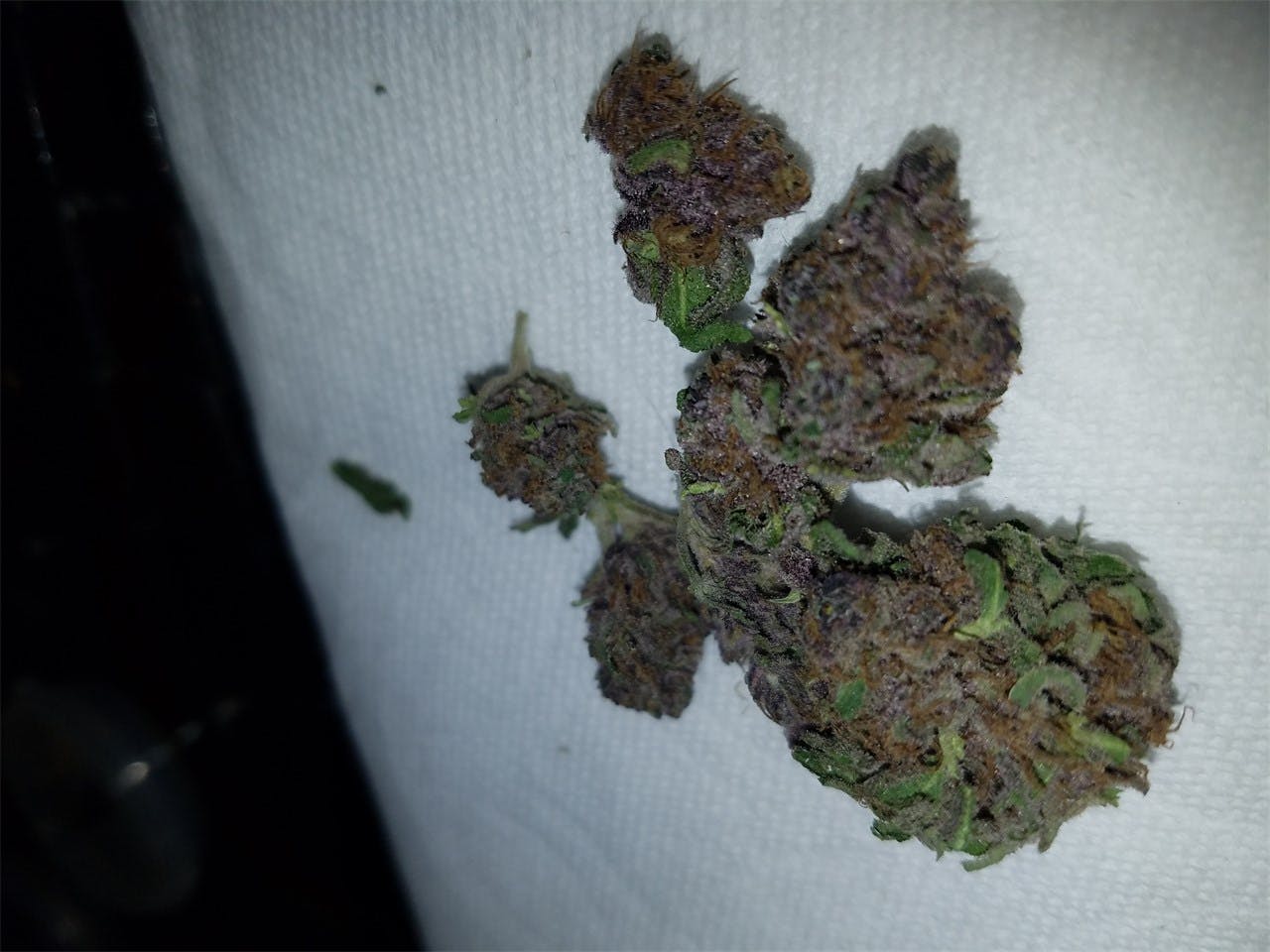 Photos of Purple Elephant Weed Strain Buds Leafly