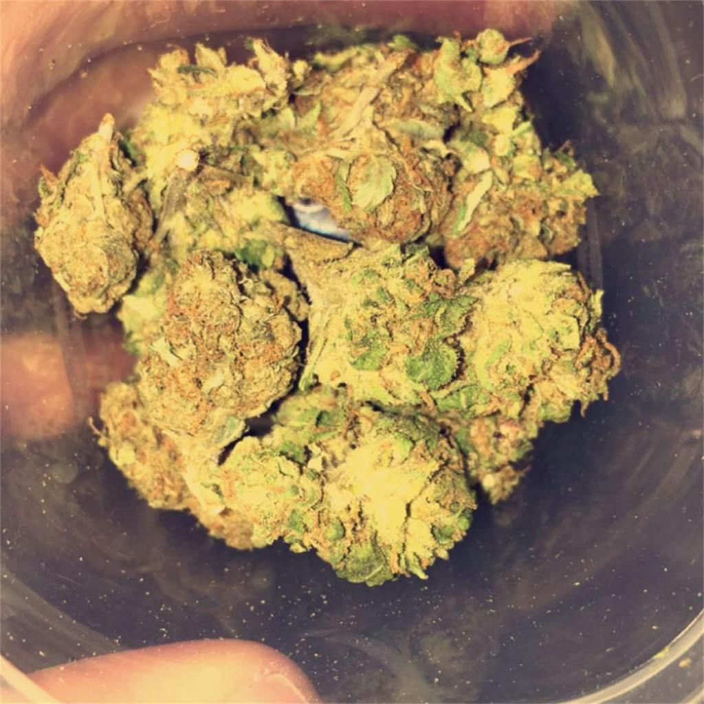 Photos of Purple Elephant Weed Strain Buds Leafly