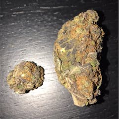 User uploaded image of Purple Elephant