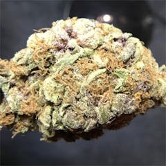 User uploaded image of Purple Elephant