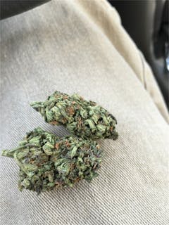 User uploaded image of Purple Goo
