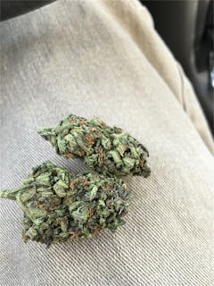 User uploaded image of Purple Goo