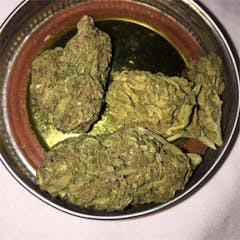 User uploaded image of Purple Goo
