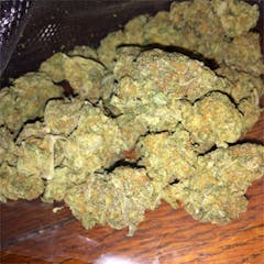 User uploaded image of Purple Goo