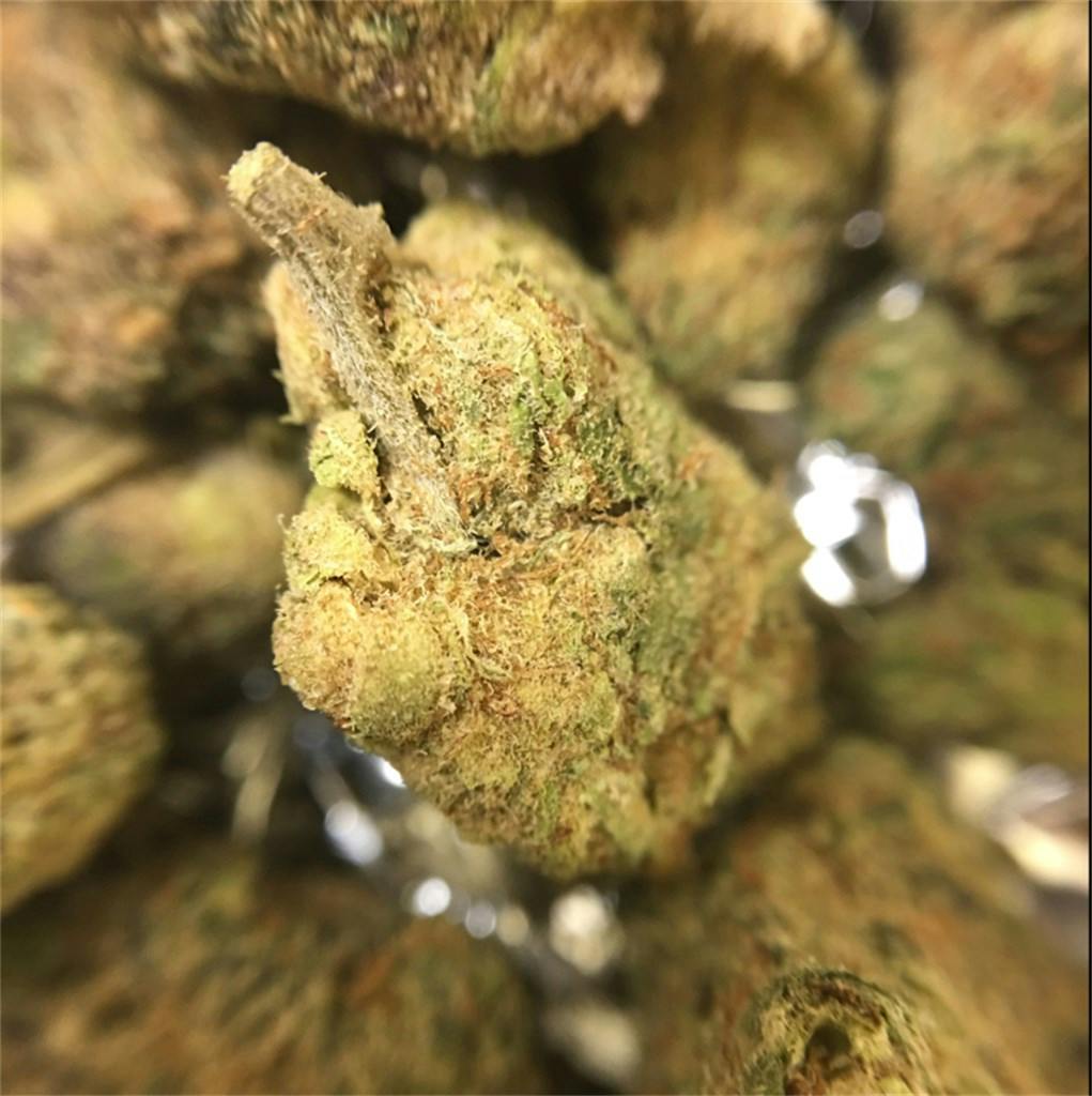 Photos of Purple Gorilla Weed Strain Buds Leafly