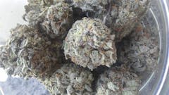 User uploaded image of Purple Gorilla