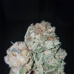 User uploaded image of Purple Gorilla