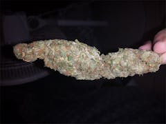 User uploaded image of Purple Hashplant