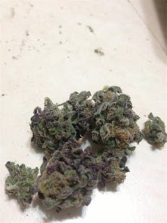 User uploaded image of Purple Hashplant