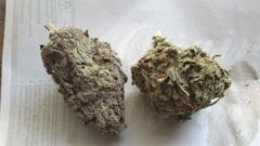 User uploaded image of Purple Hashplant