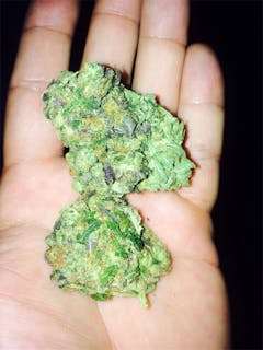 User uploaded image of Purple Hashplant