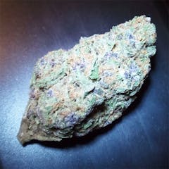 User uploaded image of Purple Haze