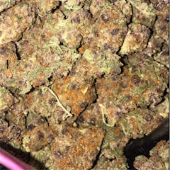 User uploaded image of Purple Haze