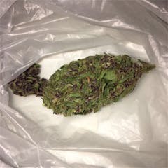 User uploaded image of Purple Haze