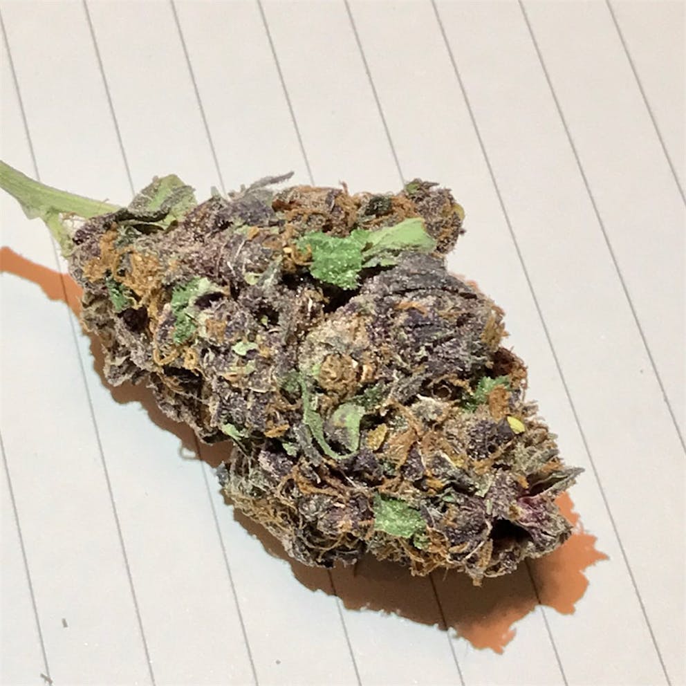 Photos of Purple Haze Weed Strain Buds Leafly