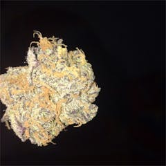 User uploaded image of Purple Headband