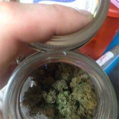 User uploaded image of Purple Headband