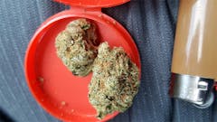 User uploaded image of Purple Headband