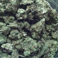 User uploaded image of Purple Headband