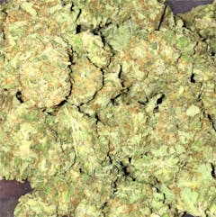 User uploaded image of Purple Hindu Kush