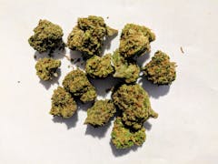 User uploaded image of Purple Hindu Kush