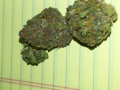 User uploaded image of Purple Hindu Kush