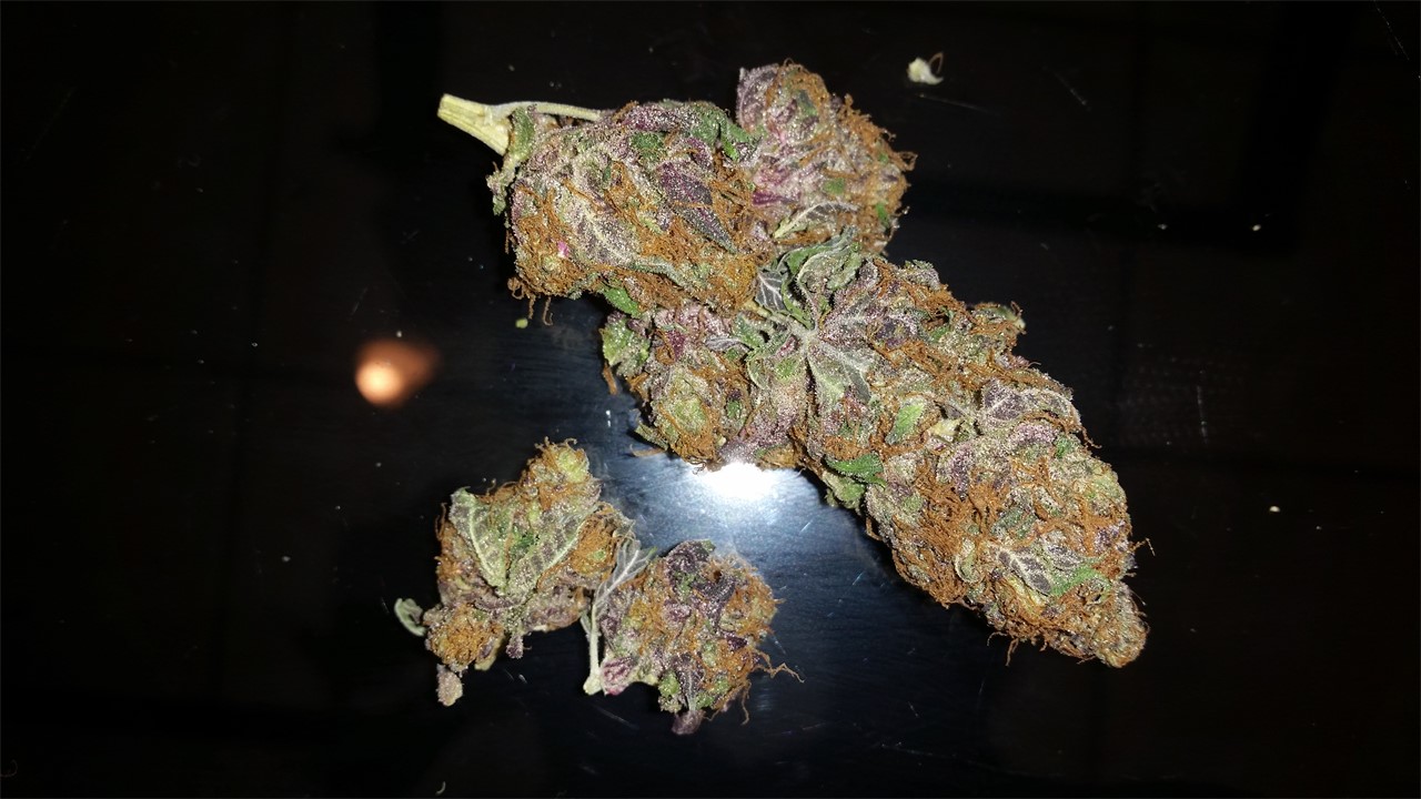 Ice Cream Wedding Cake Strain Delivery in Washington DC – High There