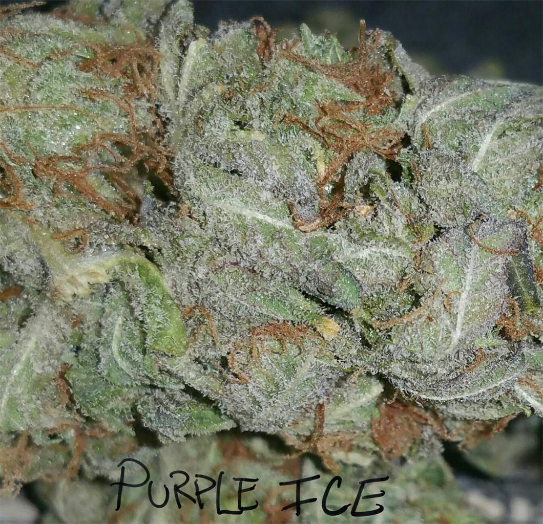 Purple Ice Weed Strain Information Leafly