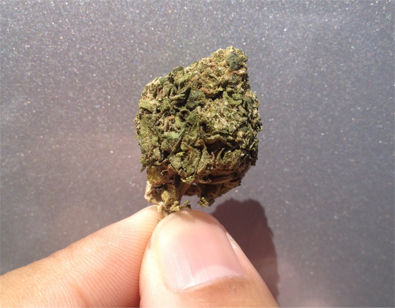 Purple Jack aka Purple Jack Herer Weed Strain Information Leafly