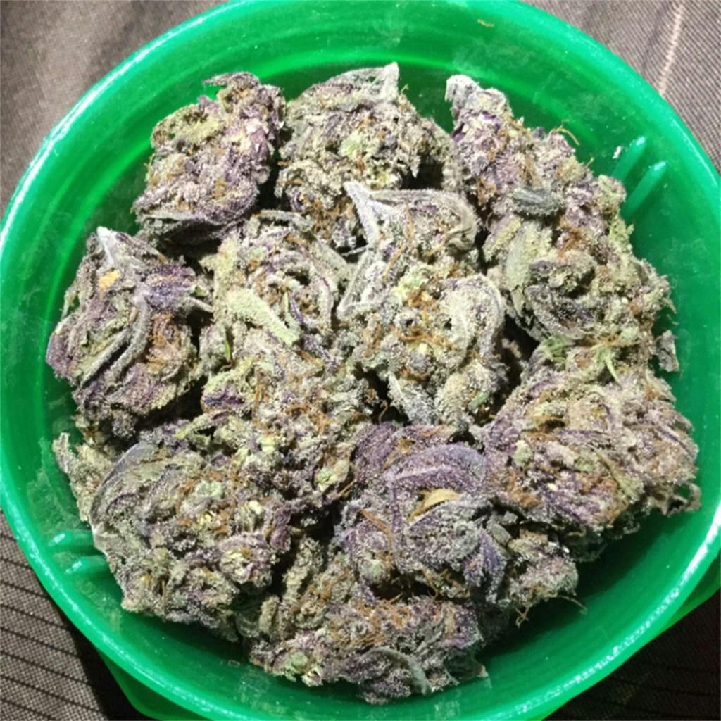 Purple Jack aka Purple Jack Herer Weed Strain Information Leafly