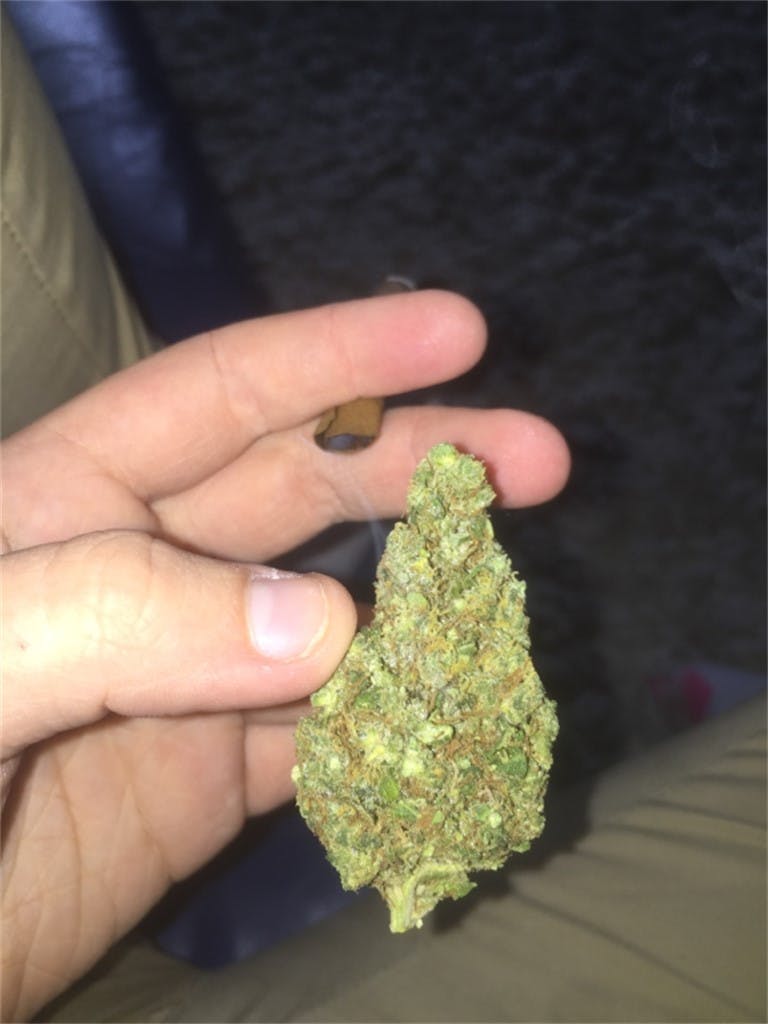 Purple Jack aka Purple Jack Herer Weed Strain Information Leafly