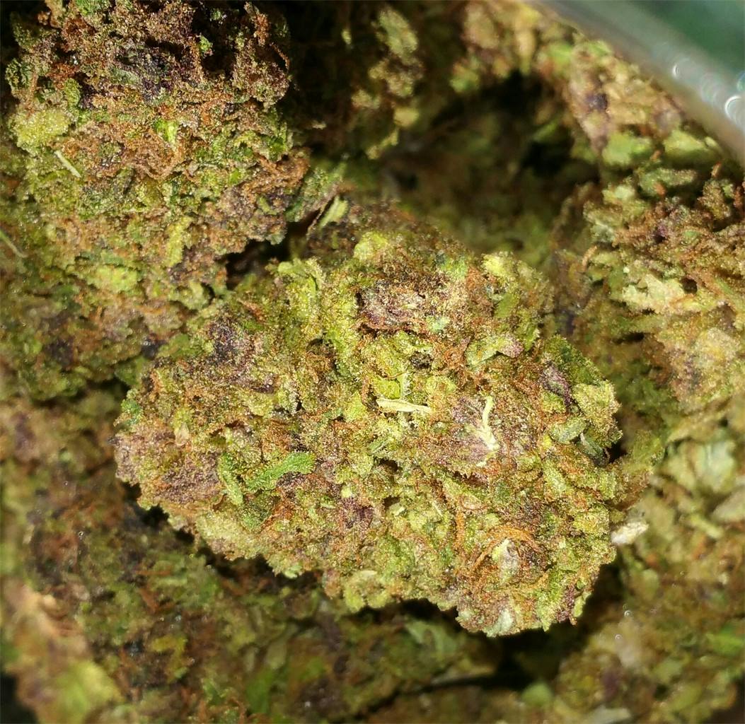 Photos of Purple Jack Weed Strain Buds Leafly