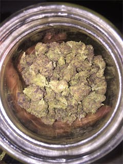 User uploaded image of Purple Jack