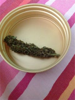 User uploaded image of Purple Jack