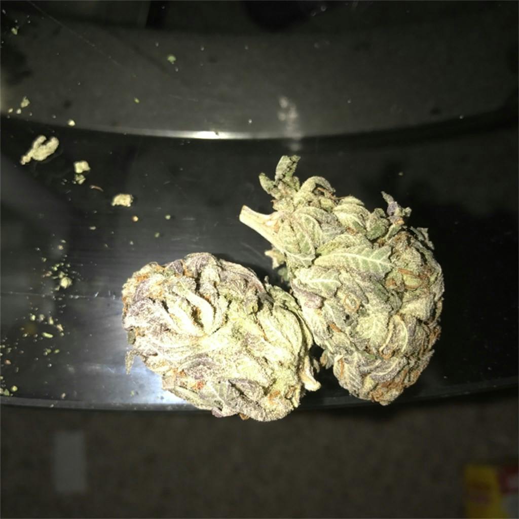 Purple Happy Rancher aka Purple Jolly Rancher Marijuana Strain