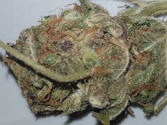 User uploaded image of Purple Kush