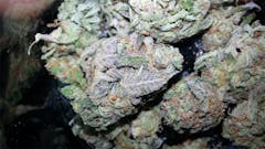 User uploaded image of Purple Maui