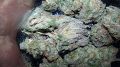 User uploaded image of Purple Maui