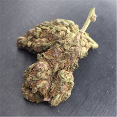 User uploaded image of Purple Mr. Nice Guy
