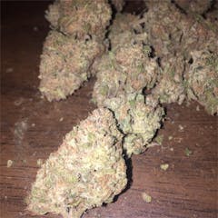 User uploaded image of Purple Mr. Nice Guy
