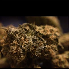 User uploaded image of Purple Mr. Nice Guy