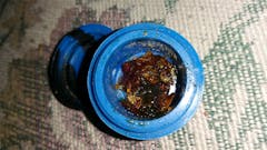 User uploaded image of Purple Nepal