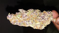 User uploaded image of Purple Nepal