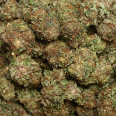 User uploaded image of Purple OG Kush