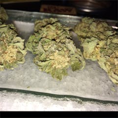 User uploaded image of Purple OG Kush