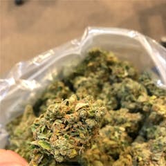User uploaded image of Purple OG Kush