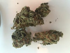 User uploaded image of Purple Pantera