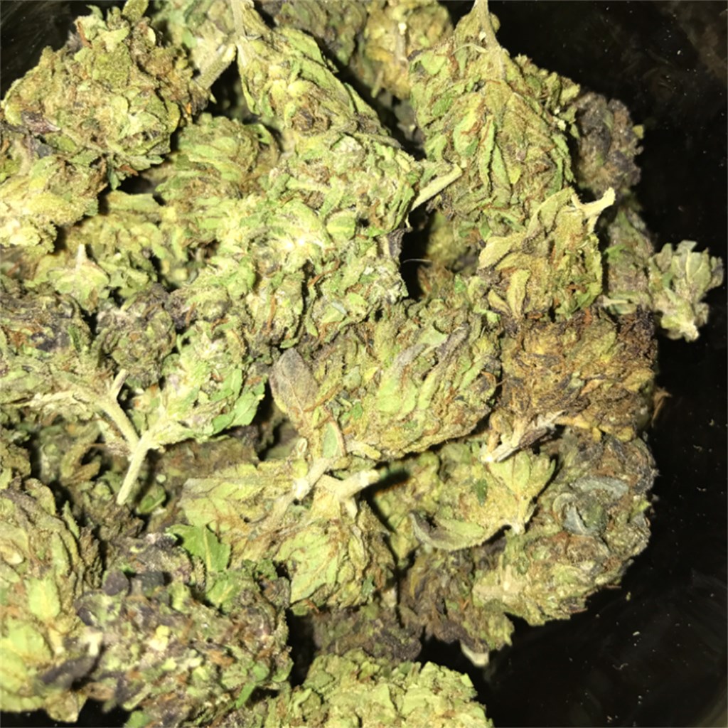 Purple Panty Dropper 28% THC - Indica - Treehouse Delights