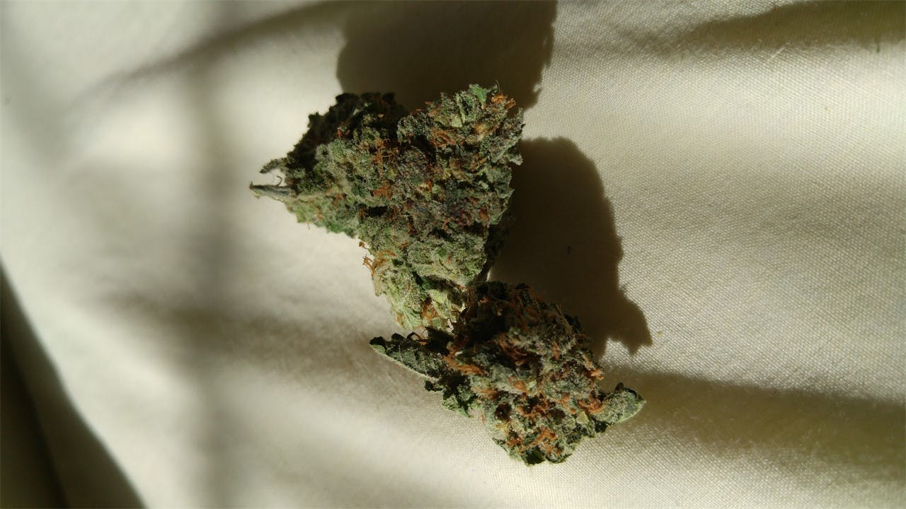 Purple Panty Dropper Weed Strain Effects & Reviews Leafly